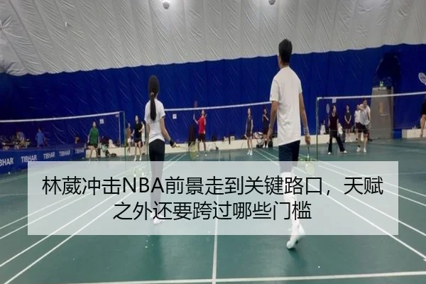 林葳冲击NBA前景走到关键路口，天赋之外还要跨过哪些门槛 | kujiale